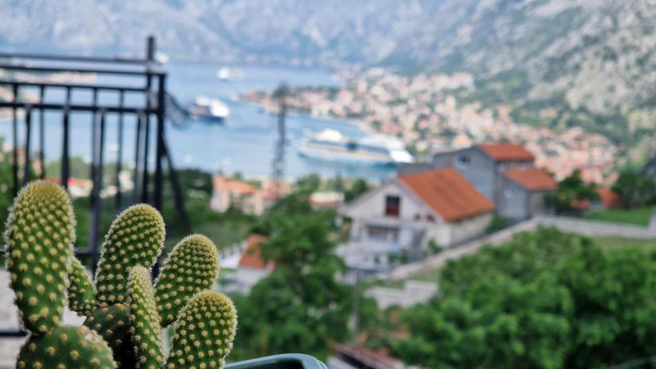 Anastasija 2 Apartment Kotor Luaran gambar